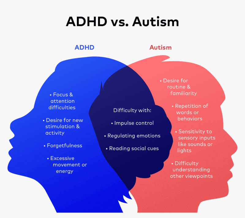/projects/asd-adhd/data_viz.png
